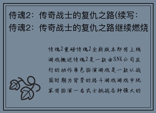 侍魂2：传奇战士的复仇之路(续写：侍魂2：传奇战士的复仇之路继续燃烧)